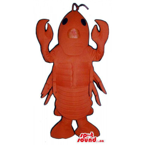 Customised All Red Lobster...