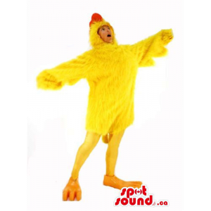 Cute Large Yellow Chicken...