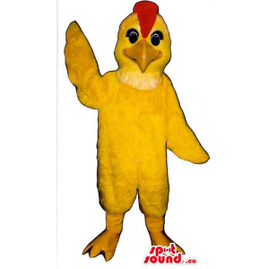 Mascota Pollo Amarillo...