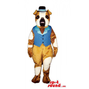 Bonito Pit-Bull Dog mascote...