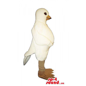 Personalizado All White Pigeon Ou Mascote Pássaro Paz