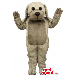 Customised Cute Dog Plush...