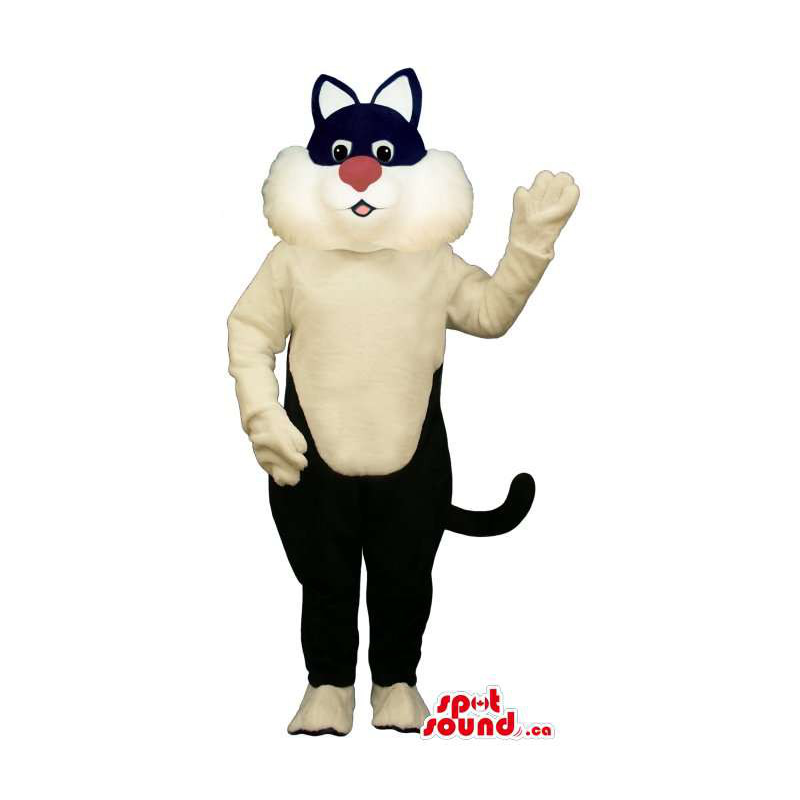 Gato preto e branco em um chapéu dos desenhos animados da mascote do  personagem traje vermelho - SpotSound Mascotes no Canadá / Cortar L  (175-180CM)