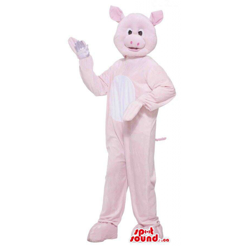 Peppa Pig in blue robe cartoon character Mascot costume SpotSound Mascots in Canada