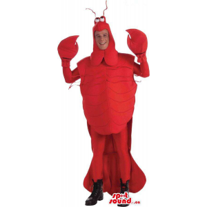 Grande Red Lobster Adulto...