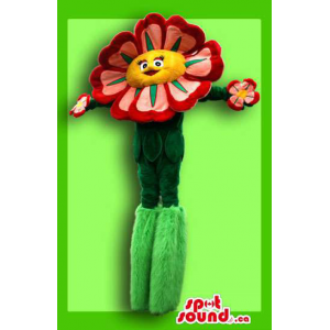 Grande flor Big Spring...