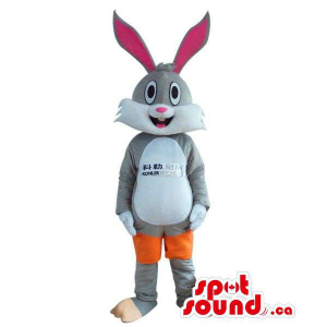 Rabbit Plush Mascot Dressed...