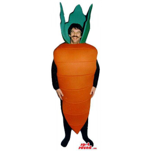 Customised Carrot Vegetable...
