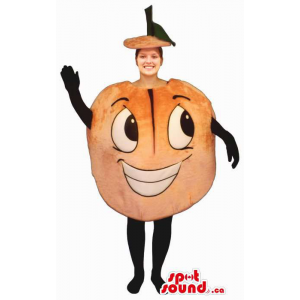 Orange Adult Size Costume...