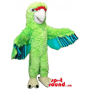 Flashy Green Parrot Plush...