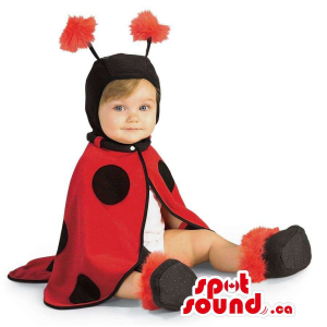 Cute Ladybird Toddler Size...