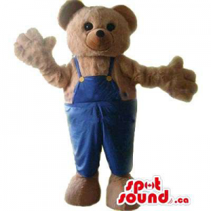 Brown bonito Teddy Bear...