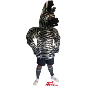 Customised Superb Zebra...