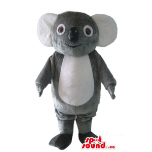 Ligh grey Koala bear animal...