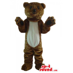 Brown e branco urso Teddy...