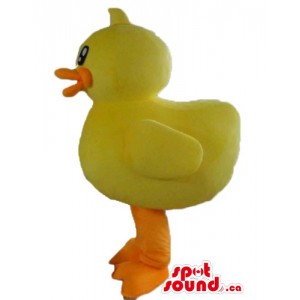 Yellow bird duck cartoon...