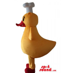 Red beak Cook Chef duck...