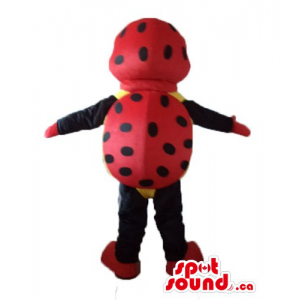 Ladybug cartoon character...