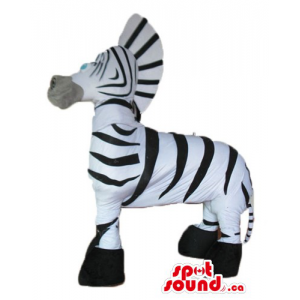 White an black zebra...