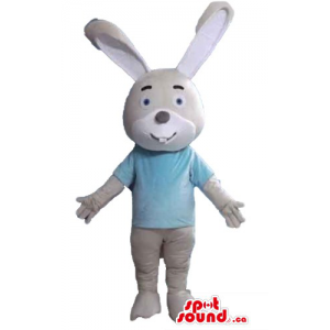 Grey rabbit in blue t-shirt...