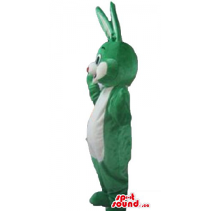 Green and white rabbit...