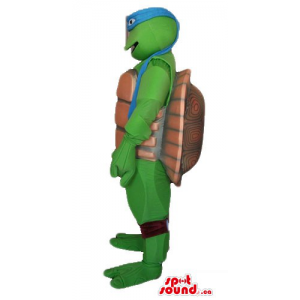 Ninja turtle cartoon...