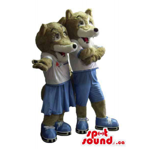 Couple of Grey Fox Mascotes Dressed In Sport engrenagem e patins de gelo
