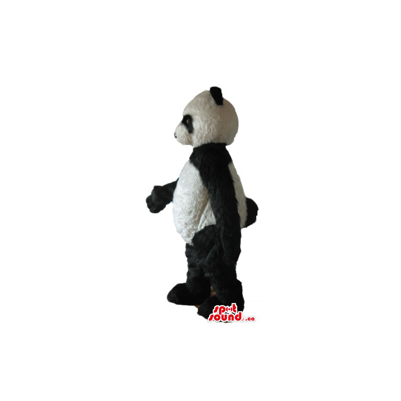 Panda Teddy Bear Mascot costume character fancy dress - SpotSound Mascots  in Canada / US / Latin America Sizes L (175-180CM)