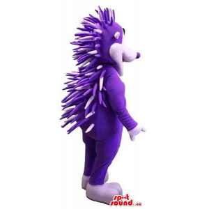 Customised Purple Hedgehog...