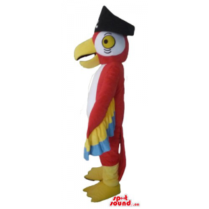Pirata Scarlet Macaw...