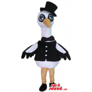 Black white Gentleman Bird...