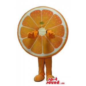 Orange Fruit slice Mascot...
