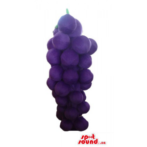 Purple grape with green...