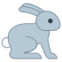 Mascota del conejo