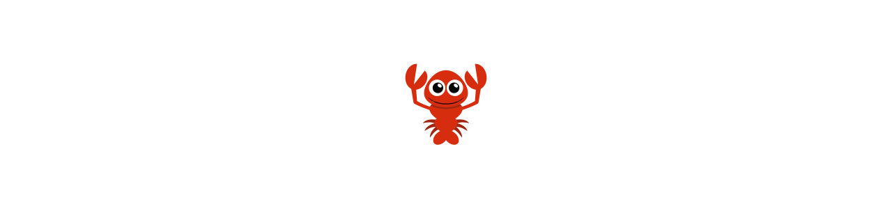 Mascotes - SPOTSOUND CANADA - Mascotes lagosta