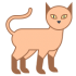 Mascotas gato