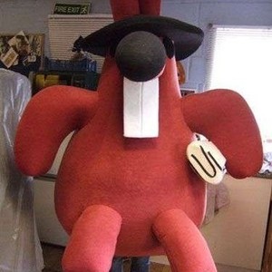Mascotte du jour chez SPOTSOUND: Mascotte de lapin rouge aux grandes dents, façon grosse peluche . Découvrez les mascottes @spotsound_mascots #mascotte #mascottes #marketing #costume #spotsound #personalisé #streetmarketing #guerillamarketing #publicité . Lien: https://www.spotsound.fr/fr/4855-mascotte-de-lapin-rouge-aux-grandes-dents-façon-grosse-peluche.html