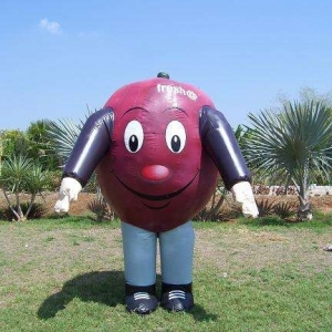 Mascotte du jour chez SPOTSOUND: Mascotte géante de tomate en ballon gonflable . Découvrez les mascottes @spotsound_mascots #mascotte #mascottes #marketing #costume #spotsound #personalisé #streetmarketing #guerillamarketing #publicité . Lien: https://www.spotsound.fr/fr/4988-mascotte-géante-de-tomate-en-ballon-gonflable.html